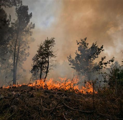 waldbrände in spanien heute